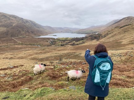 Eine Person mit einem Rucksack zeigt auf eine malerische Landschaft mit Schafen und einem ruhigen See im Hintergrund.