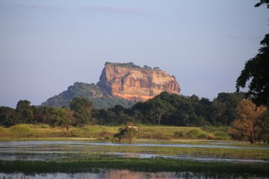 Der Löwenfelsen erhebt sich über die grüne Landschaft – Sri Lanka Familienreise