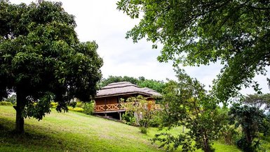 Ein malerisches Holzhaus mit Strohdach, umgeben von üppigem Grün und Bäumen, unter einem bewölkten Himmel.