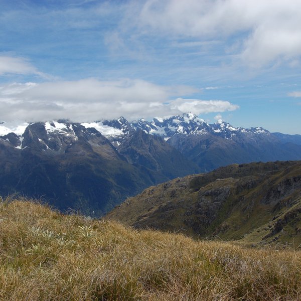 Eine weite Aussicht auf die majestätischen Berge des Mount Aspiring Nationalparks, umgeben von sanften Grasflächen.