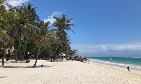 Ein sonniger Strand mit Palmen, wo Menschen entspannen und ein Segelboot in der Ferne auf dem Wasser fährt.