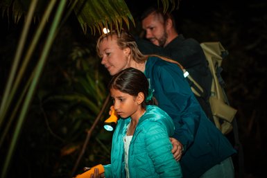 Eine Familie erkundet den nächtlichen Dschungel, während sie mit Taschenlampen den Weg beleuchtet.