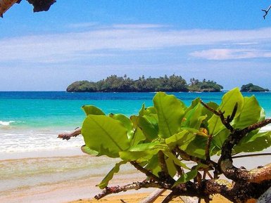 Ein klarer blauer Himmel über einem ruhigen Strand mit sanften Wellen, umgeben von üppigem Grün und einer kleinen Insel im Hintergrund.