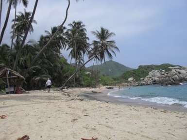 Ein ruhiger Strand mit feinem Sand, umgeben von hohen Palmen und sanften Wellen, die an die Küste schlagen.