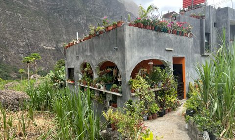 Ein modernes, graues Gebäude mit einer Fassade aus Töpfen voller Pflanzen und Blumen umgeben von üppigem Grün.
