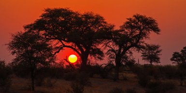 Roter Himmel bei Sonnenuntergang – Sri Lanka Familienreise