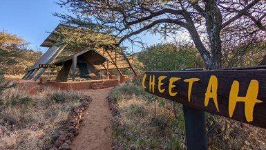 Ein moderner, schräg gebauter Unterstand in der Natur, umgeben von Sträuchern und Bäumen, mit einem Weg, der dorthin führt.