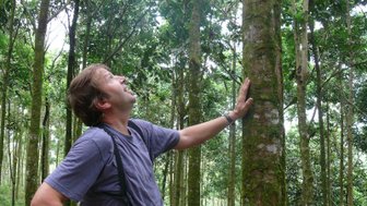 Neugieriger Blick auf Baumriesen im dichten Regenwald – Costa Rica Reise mit Kindern