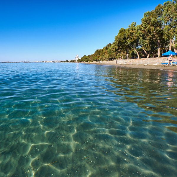 Ein ruhiger Strand in Limassol mit klarem Wasser und Sonnenschirmen, umgeben von üppigen Bäumen und einem blauen Himmel.