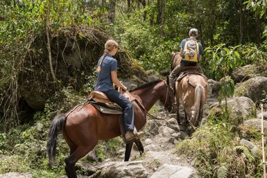 Zwei Reiter auf Pferden navigieren einen steinigen Pfad durch üppige grüne Vegetation in der Cocora-Region Kolumbiens.