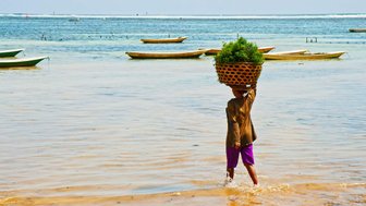 Einheimische Frau transportiert Algen auf dem Kopf – Bali Reise mit Kindern