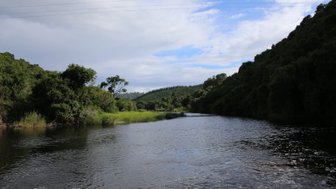 Atemberaubender Blick auf eine grüne Schlucht mit gewundener Passstraße – Garden Route mit Kindern