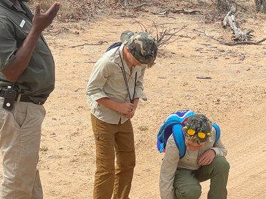 Kinder erkunden gemeinsam mit einem Guide den Sandboden im Krüger Nationalpark – Südafrika mit Kindern