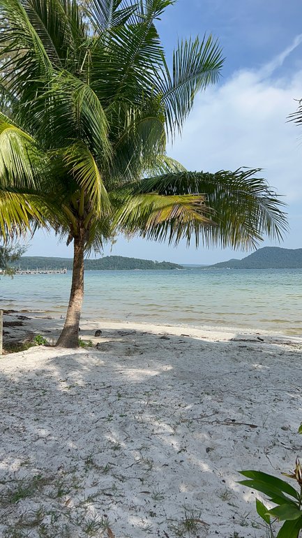 Palmen und feiner Sandstrand auf Koh Rong Samloem – Familienurlaub Kambodscha