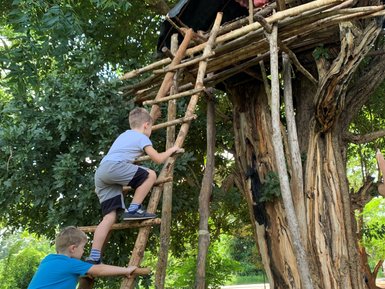 Zwei Kinder steigen eine Holzleiter zu einem Baumhaus auf der Ritigala Farm – Sri Lanka Familienreise