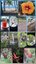 Bildercollage Costa Rica - Individualreise mit Kindern
