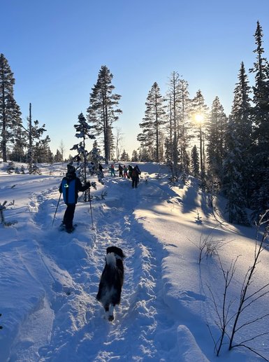 Eine Gruppe von Menschen wandert durch eine verschneite Landschaft, während die Sonne hinter den Bäumen aufgeht.