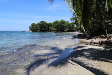 Tropischer Strand mit Palmen und türkisfarbenem Wasser bei Puerto Viejo – Costa Rica Familienreise