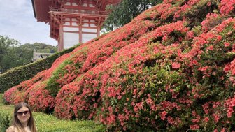 Eine Frau steht lächelnd vor dem Kiyomizu-dera Tempel, umgeben von leuchtend rosa Blumen und grünen Hecken.
