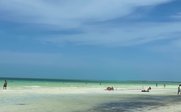 Ein sonniger Strand mit Menschen, die im flachen Wasser spielen und sich entspannen, umgeben von sanften Wellen und blauem Himmel.
