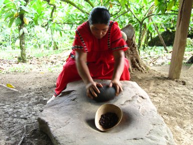 Eine Frau in traditioneller Kleidung mahlt Kakaobohnen auf einem Stein, umgeben von üppigem Grün.