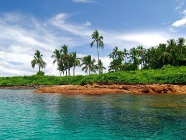 Kristallklares Wasser umgibt eine grüne Küstenlinie, gesäumt von hohen Palmen unter einem strahlend blauen Himmel.