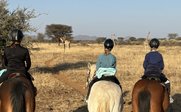 Ausritt in trockener Savannenlandschaft - Namibia for family individuell Best of - Namibia mit Kindern individuell