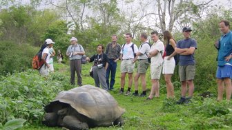 Eine Gruppe von Touristen beobachtet eine riesige Schildkröte in der Natur der Galapagos-Inseln.
