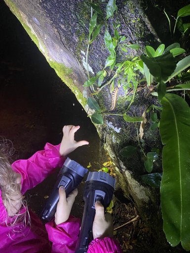 Familie entdeckt nachtaktive Tiere bei einer Wanderung im La Tirimbina Reservat – Costa Rica Familienreise