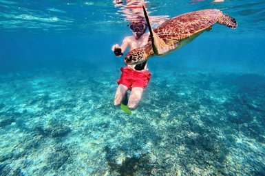 Junge entdeckt eine Meeresschildkröte unter Wasser im Oman – Oman Familienreise