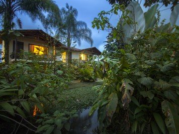 Ein ruhiger Abendblick auf ein Haus, umgeben von üppigem Grün und Palmen, mit warmem Licht aus den Fenstern.