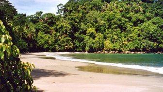 Palmenreicher Strand im Manuel Antonio Nationalpark – Costa Rica Familienreise