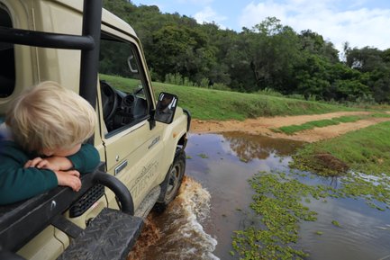 Safari-Jeep fährt durch ein Wasserloch, während ein Baby entspannt darin sitzt, im Botlierskop Private Game Reserve – Garden Route Reise mit Kindern