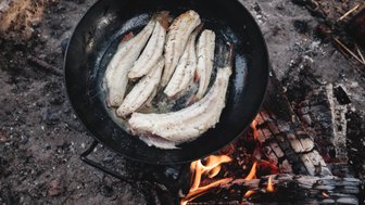 In einer Pfanne braten mehrere Fischfilets über einem offenen Feuer, umgeben von glühenden Holzscheiten und Asche.