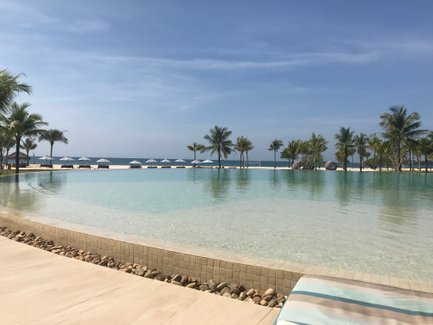 Ein ruhiger Pool mit klarem Wasser, umgeben von Palmen und Liegen, bietet einen atemberaubenden Blick auf das Meer.