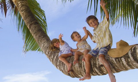 Drei fröhliche Kinder sitzen auf einem dicken Baumstamm, umgeben von Palmen und strahlend blauem Himmel.