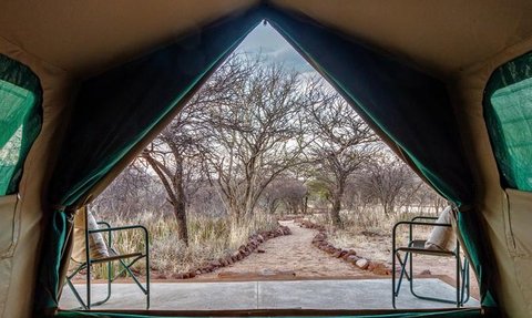 Der Blick aus einem Zelt zeigt einen schmalen Pfad, umgeben von trockenen Bäumen und Graslandschaft.