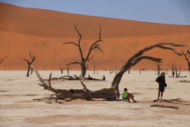 Eine Reisegruppe sitzt im Schatten von trockenen Bäumen in einer Wüstenlandschaft - Namibia Reise mit Kindern