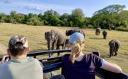 Familie auf Elefantenbeobachtung - Sri Lanka for family individuell - Sri Lanka mit Kindern individuell bereisen