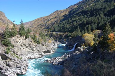 Der Kawarau River schlängelt sich durch eine beeindruckende Landschaft mit steilen Felsen und üppigen Bäumen im Hintergrund.