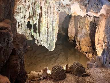 Besucher entdecken die Höhlen der Halong-Bucht – Vietnam mit Kindern