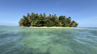 Eine kleine tropische Insel mit üppigem Grün und Palmen, umgeben von klarem, türkisfarbenem Wasser unter einem blauen Himmel.