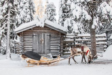 Ein Rentier mit einem roten Geschirr grast friedlich im Schnee vor einer rustikalen Holzhütte in einer winterlichen Landschaft.