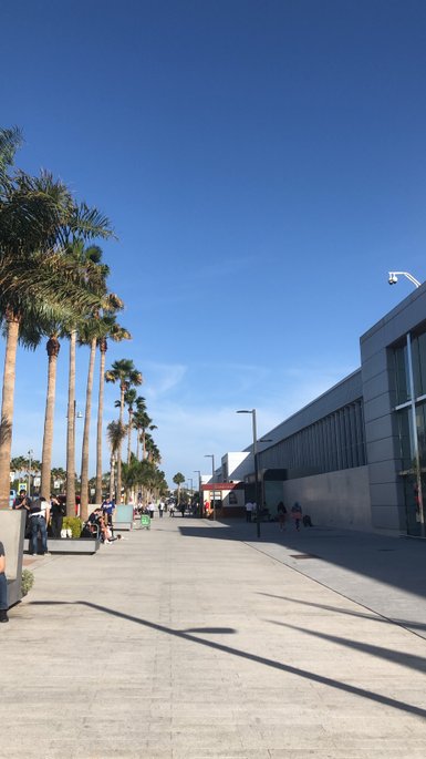 Eine breite Promenade mit hohen Palmen, die unter einem strahlend blauen Himmel steht, während Menschen spazieren gehen.