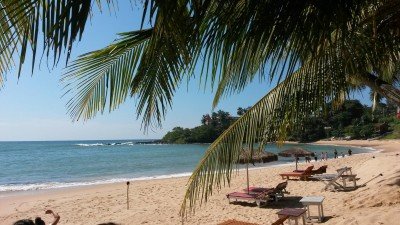 Ein sonniger Strand in Sri Lanka mit Palmen, Liegen und sanften Wellen, die an den goldenen Sand schlagen.