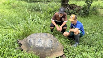 Zwei Kinder beobachten fasziniert eine große Schildkröte, die in einem grünen, bewachsenen Bereich sitzt.