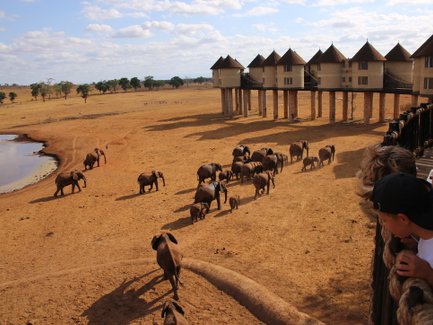 Eine Gruppe von Elefanten wandert durch die trockene Savanne, während ein Safari-Lodge im Hintergrund sichtbar ist.