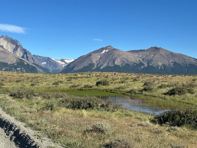 Eine weite Landschaft in Patagonien mit majestätischen Bergen und einer Gruppe von Lamas, die friedlich grasen.