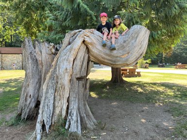 Zwei Kinder sitzen fröhlich auf einem großen, geschwungenen Baumstamm im Park, umgeben von grüner Natur.