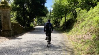 Ein Radfahrer fährt auf einer gepflasterten Straße, umgeben von üppigem Grün und Bäumen unter einem klaren blauen Himmel.